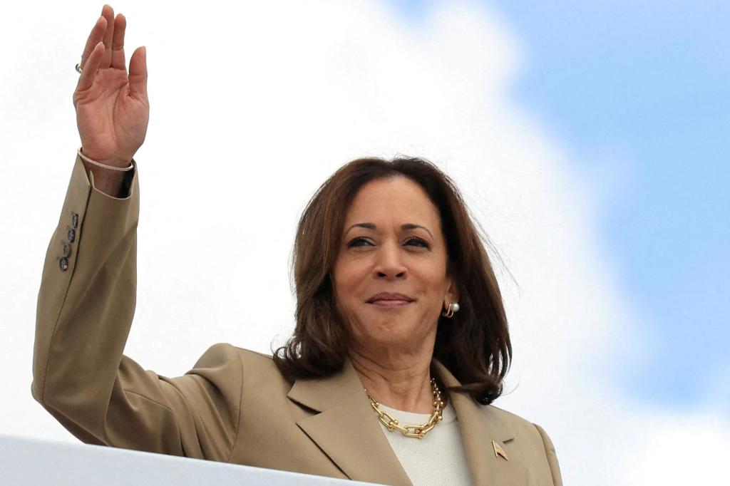 How a Kamala Harris candidacy could wreak havoc on the stock market: 'She's not sustainable'